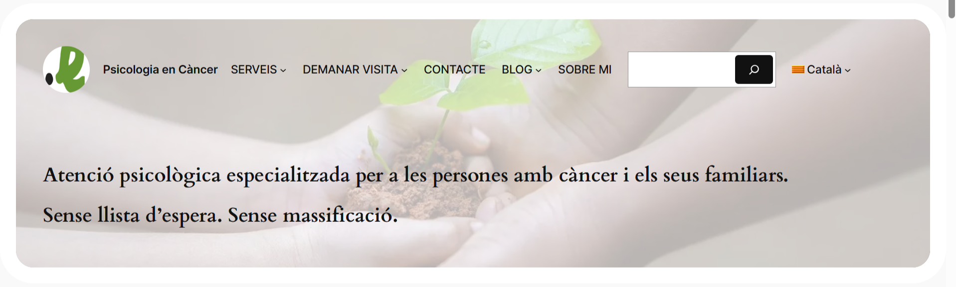 A new Psychology in Cancer’s website